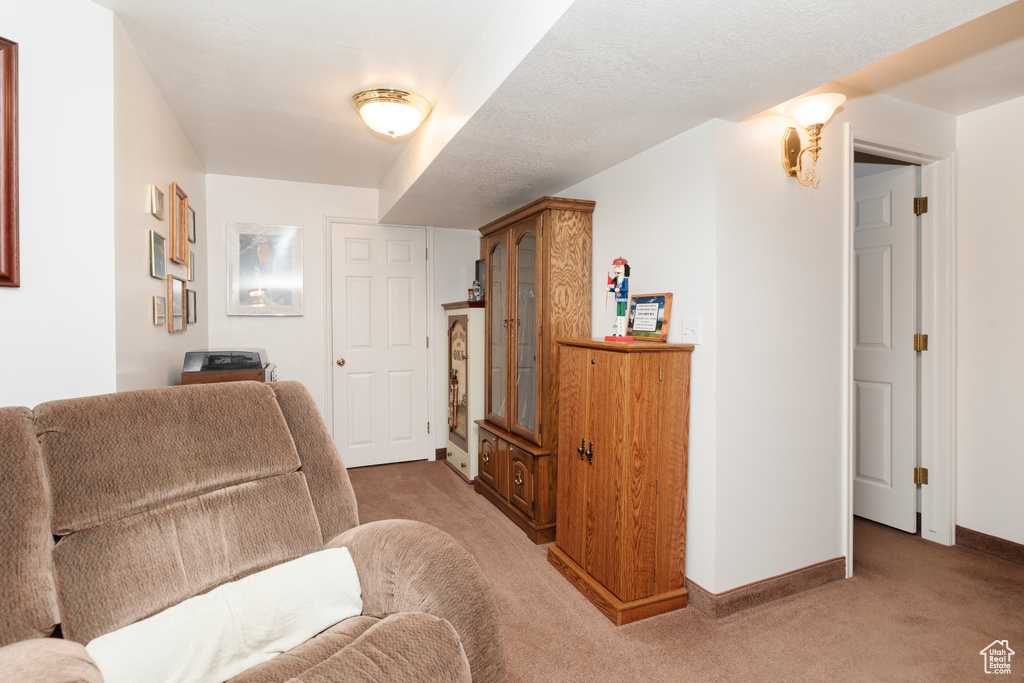 Living room featuring carpet floors