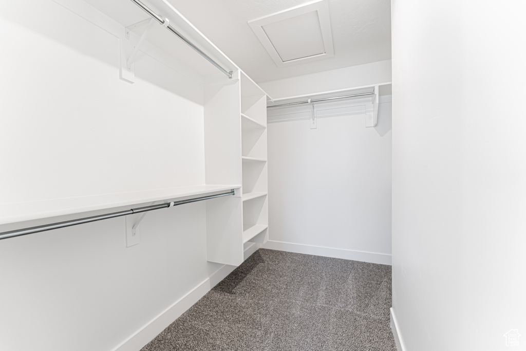 Walk in closet with carpet