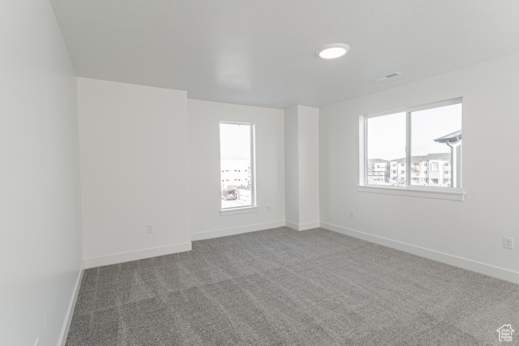 Carpeted spare room featuring a wealth of natural light