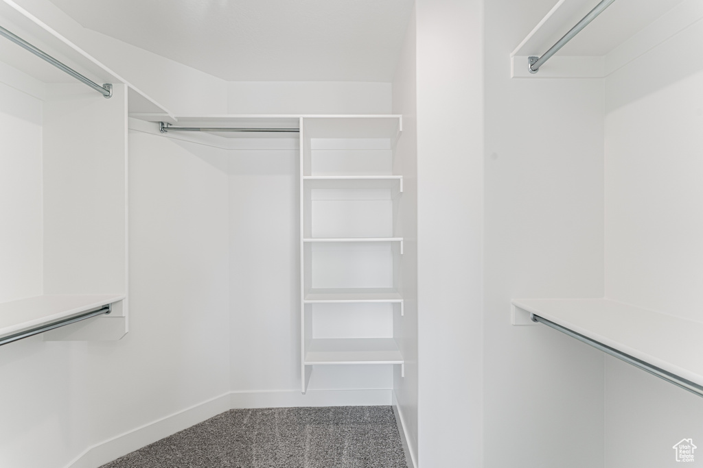 Spacious closet featuring carpet floors