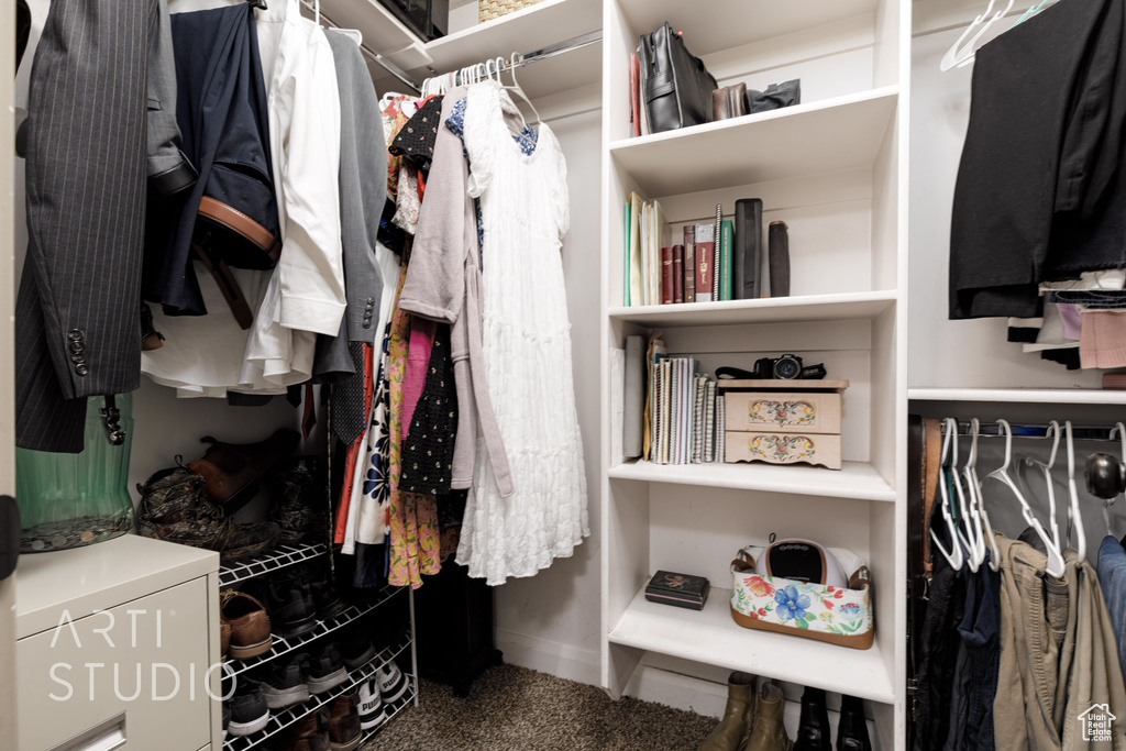 Spacious closet with carpet flooring