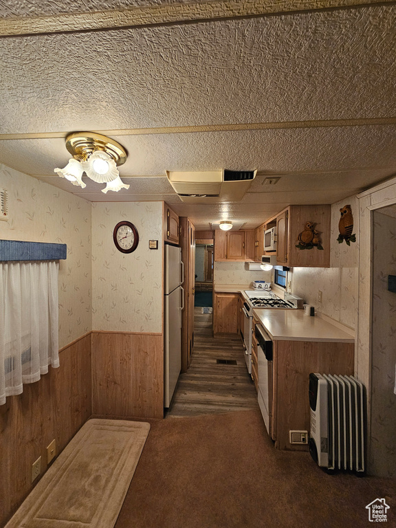 Kitchen with radiator, a textured ceiling, dark hardwood / wood-style floors, and stainless steel appliances