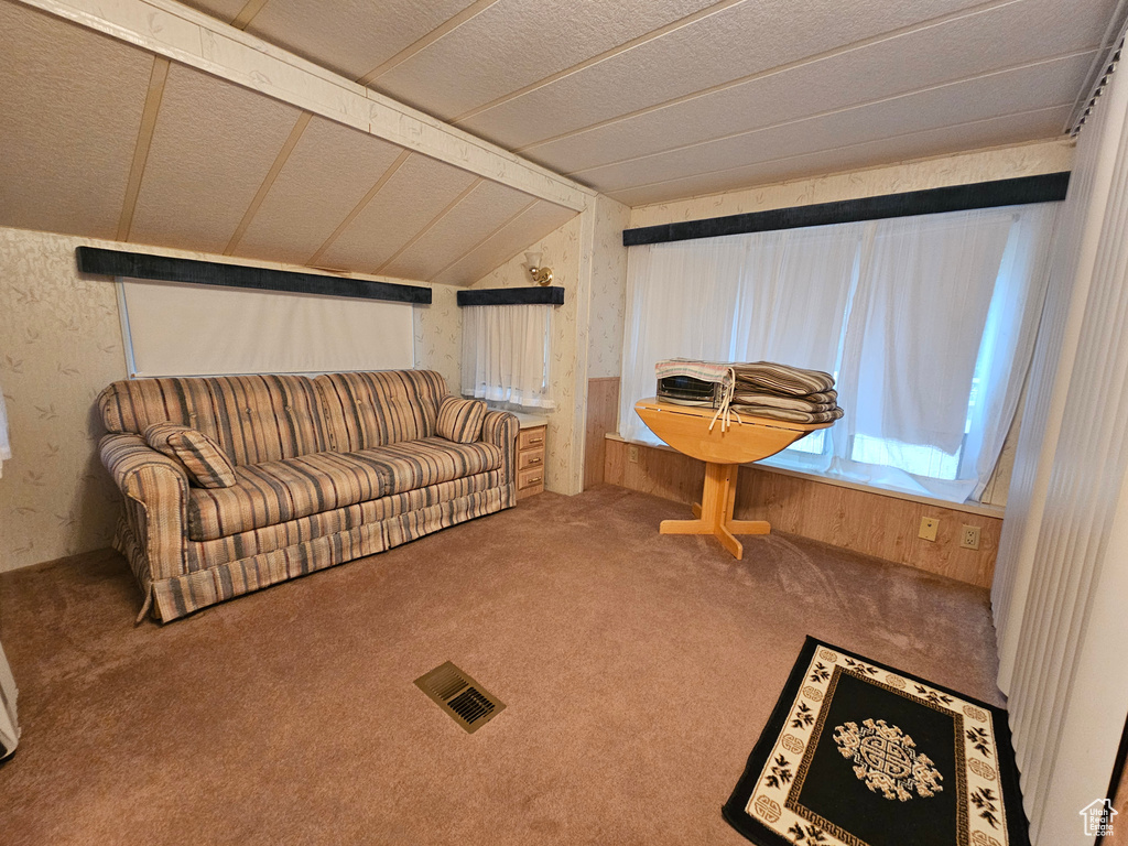 Carpeted living room featuring a textured ceiling and vaulted ceiling