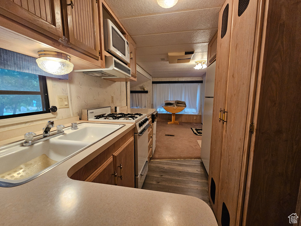 Kitchen with range hood, dark colored carpet, white appliances, and sink