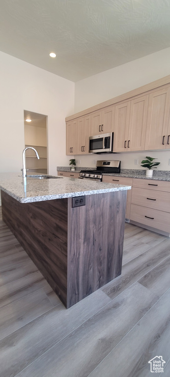 Kitchen with light hardwood / wood-style flooring, light stone counters, appliances with stainless steel finishes, and sink