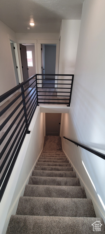 Staircase with carpet