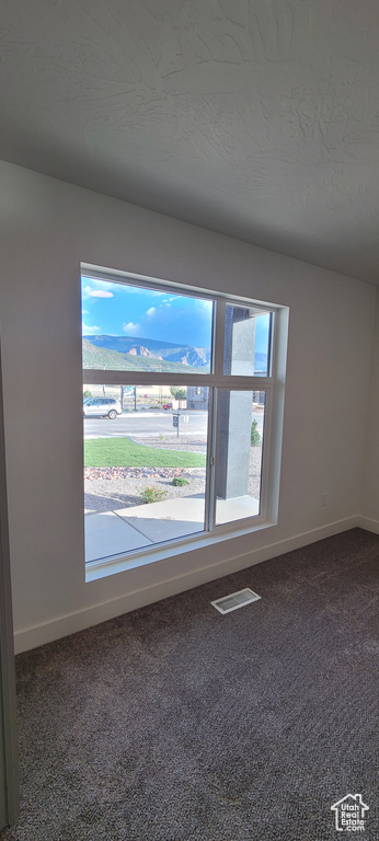 Unfurnished room with a textured ceiling, carpet, and a healthy amount of sunlight