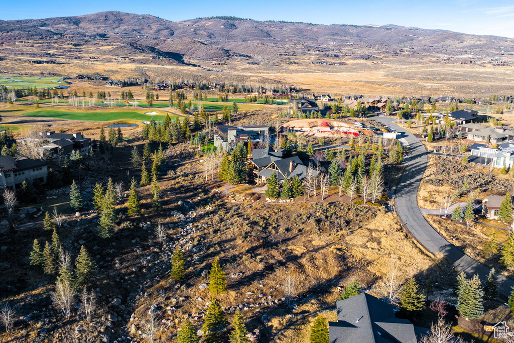 Aerial view with a mountain view