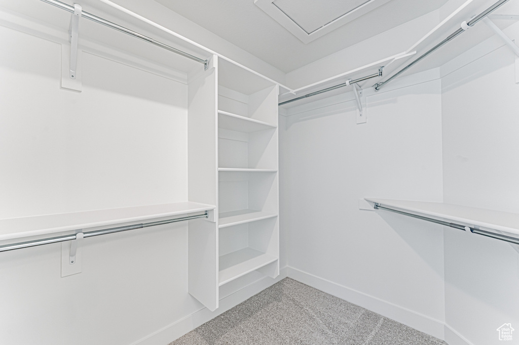 Spacious closet with light carpet