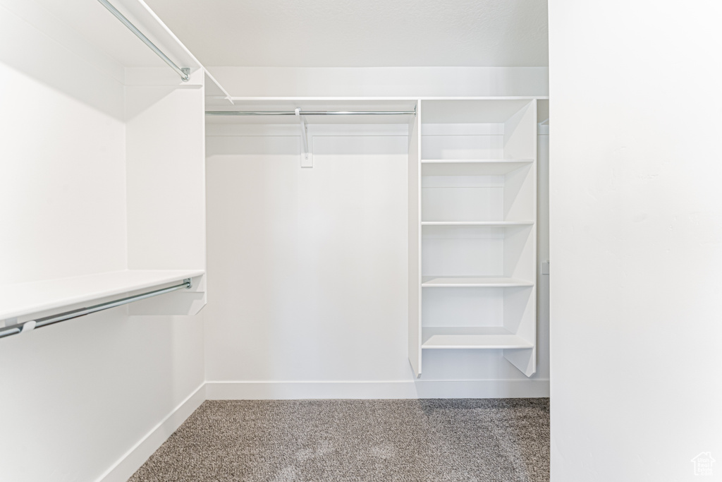 Spacious closet featuring carpet flooring