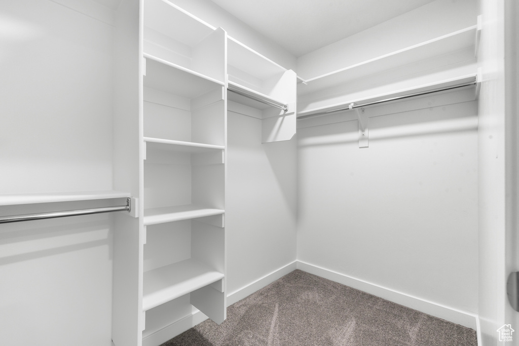 Walk in closet with dark colored carpet