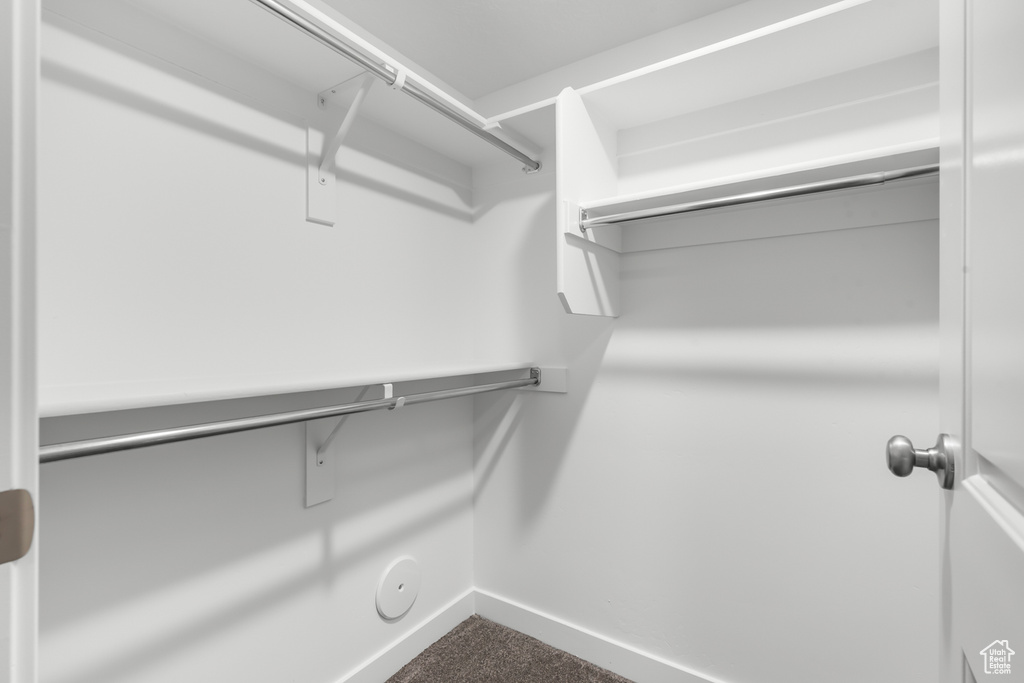 Walk in closet with carpet floors