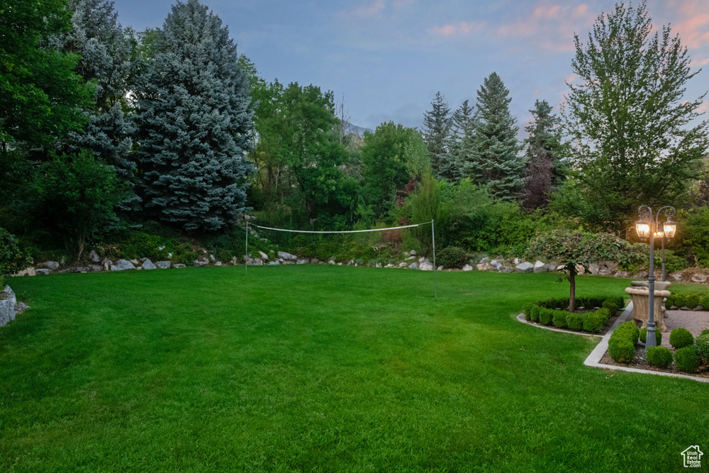 View of yard at dusk