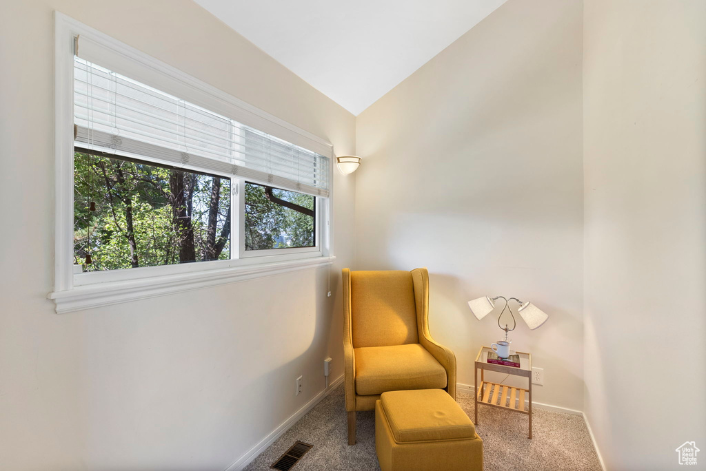 Living area with carpet floors and vaulted ceiling