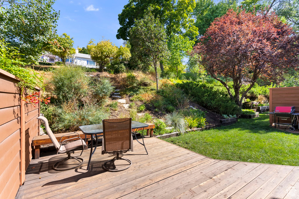 Deck with a lawn