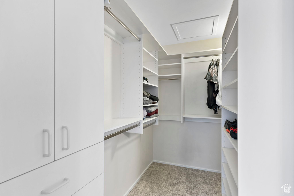 Spacious closet with light carpet