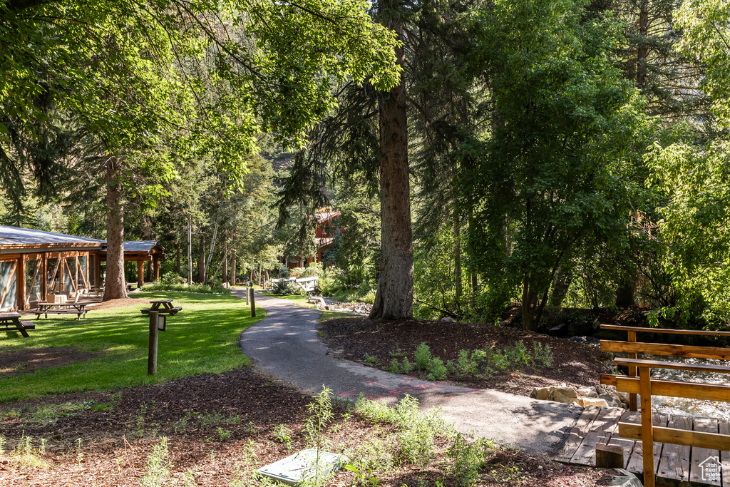 View of property's community with a yard