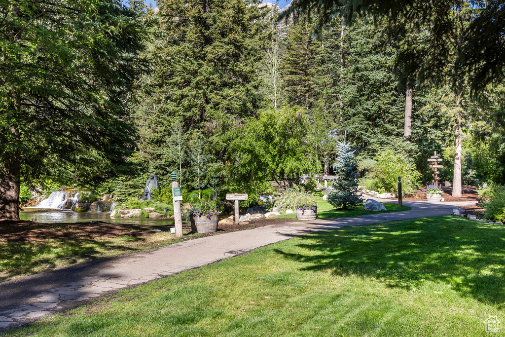 View of home's community featuring a yard