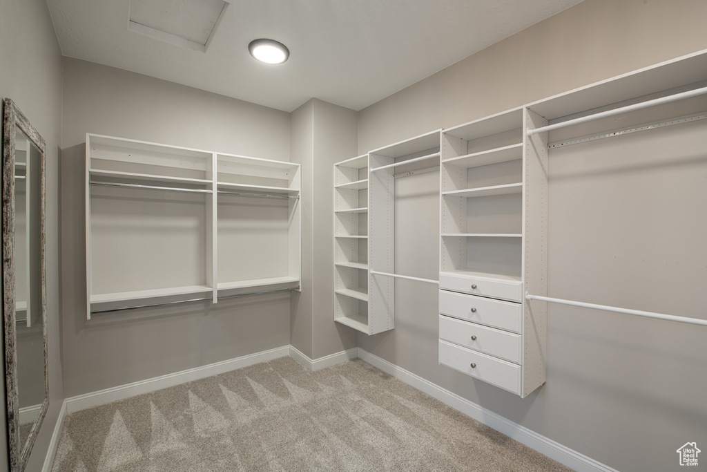 Walk in closet with light colored carpet