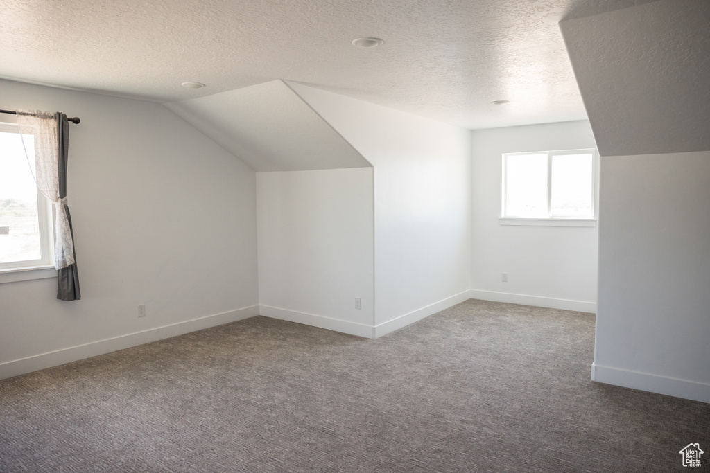 Additional living space featuring a textured ceiling, carpet flooring, and lofted ceiling