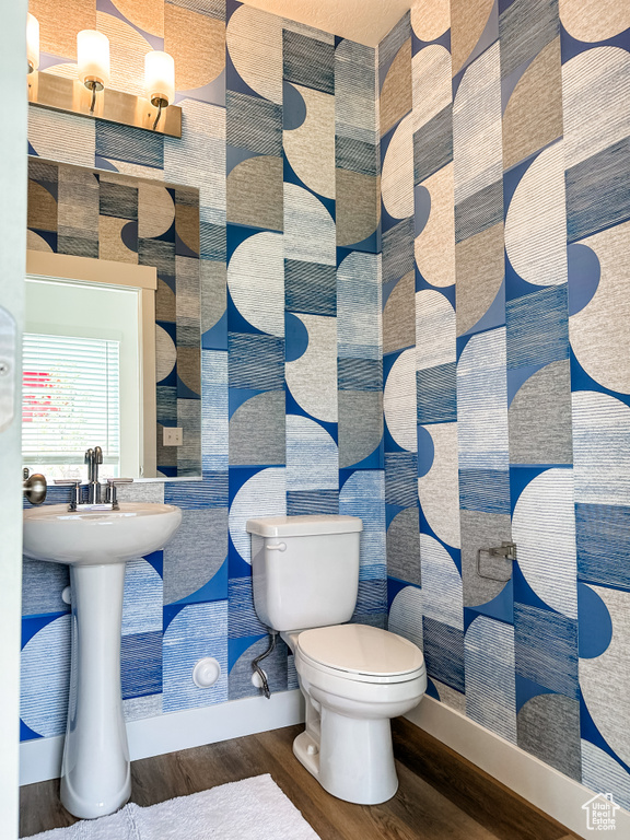 Bathroom with toilet and hardwood / wood-style flooring