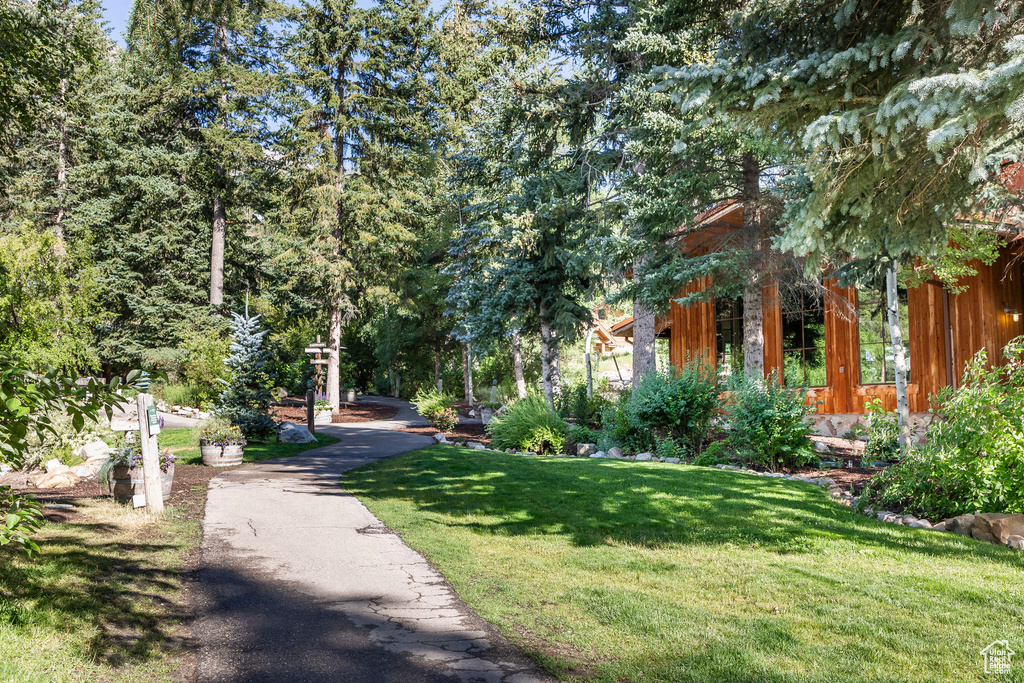 8806 N STEWART RD #3B Sundance, UT 84604