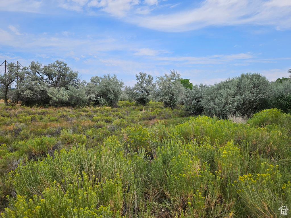 View of nature