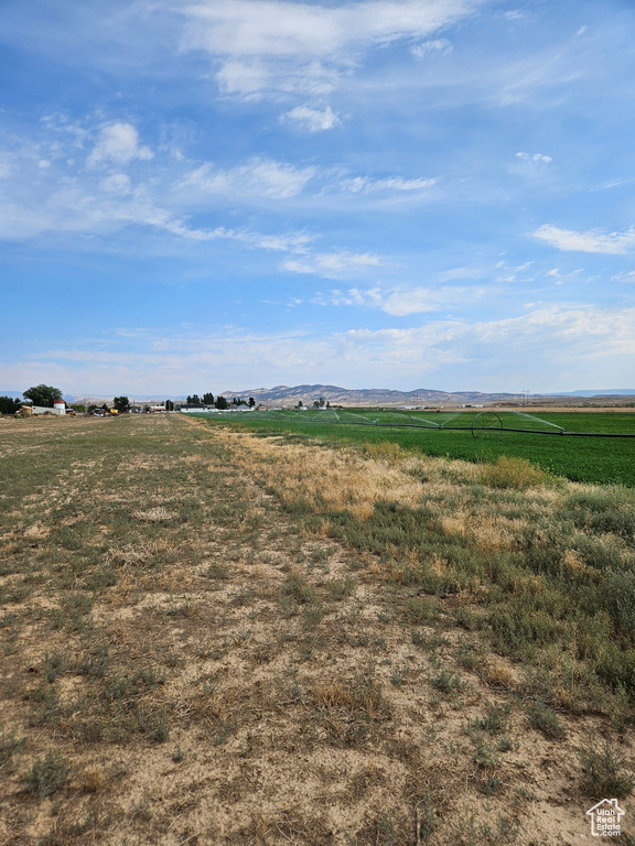 View of local wilderness with a rural view