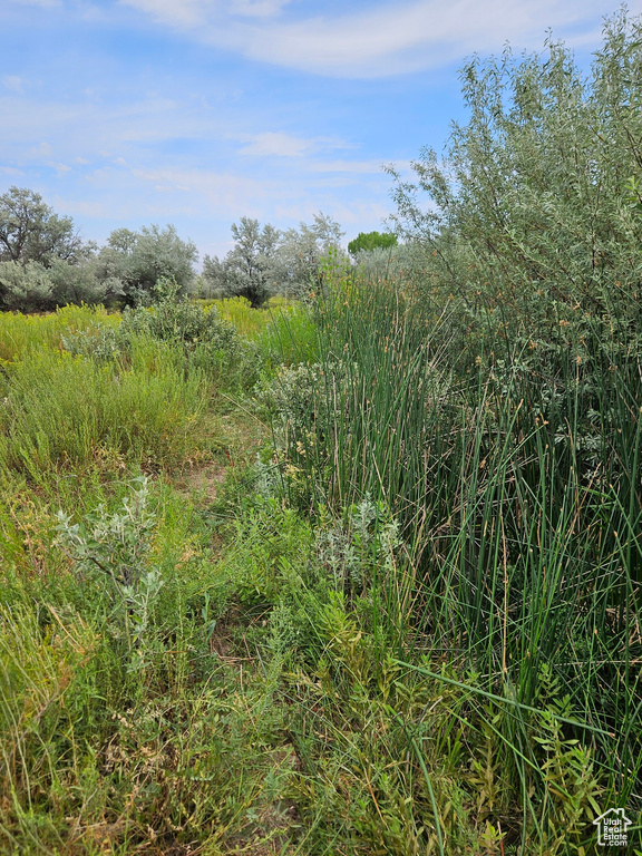 View of landscape