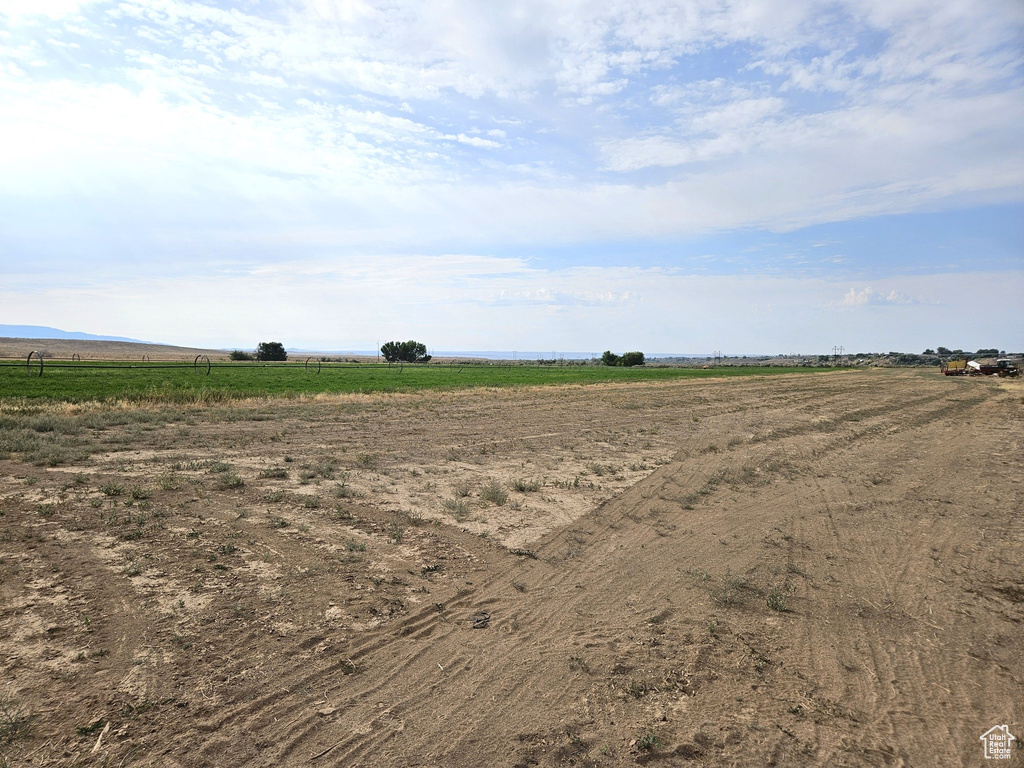 View of local wilderness featuring a rural view