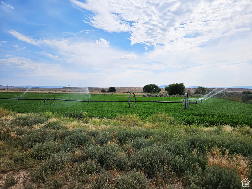 View of yard with a rural view