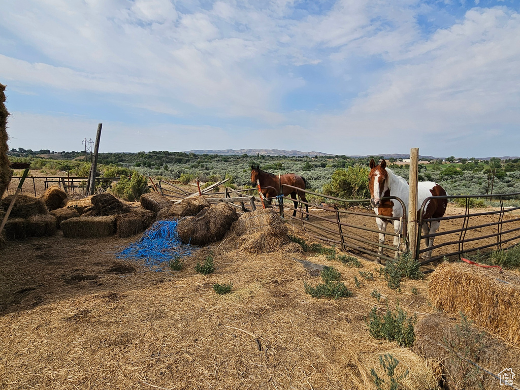 View of yard with a rural view