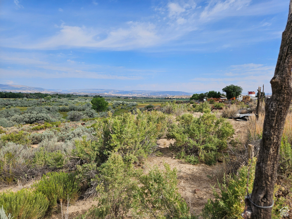 View of landscape