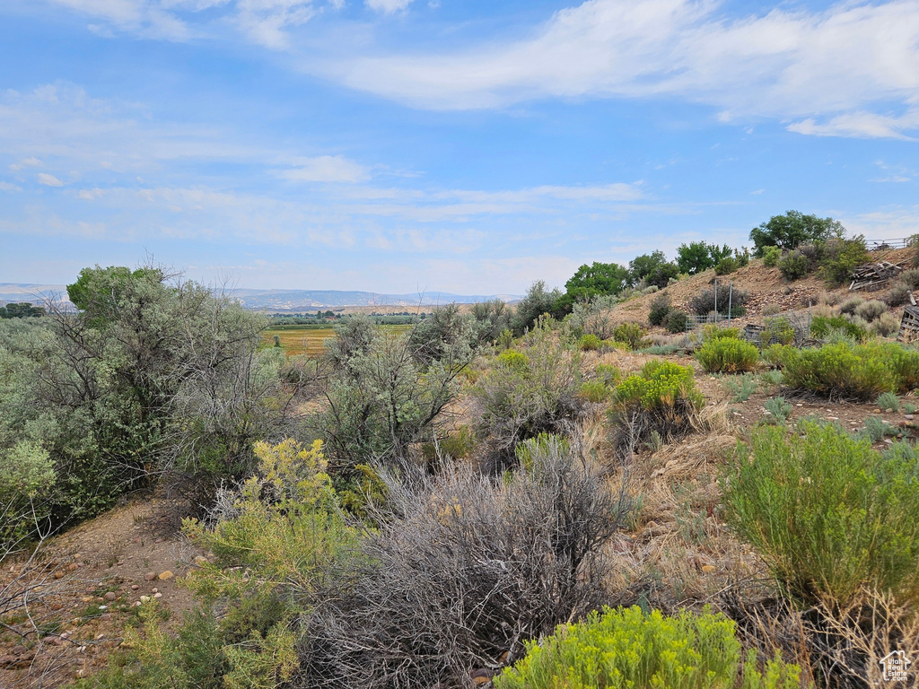 View of landscape