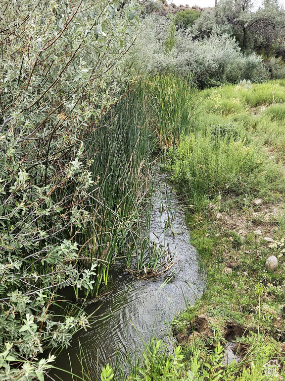 View of landscape featuring a water view