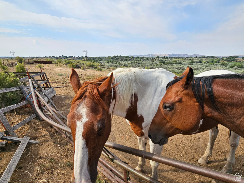 View of stable featuring a rural view