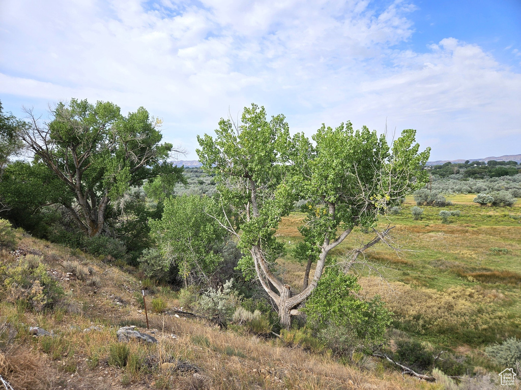 View of landscape featuring a rural view