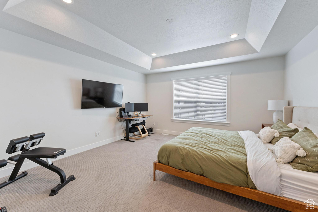 Carpeted bedroom with a raised ceiling