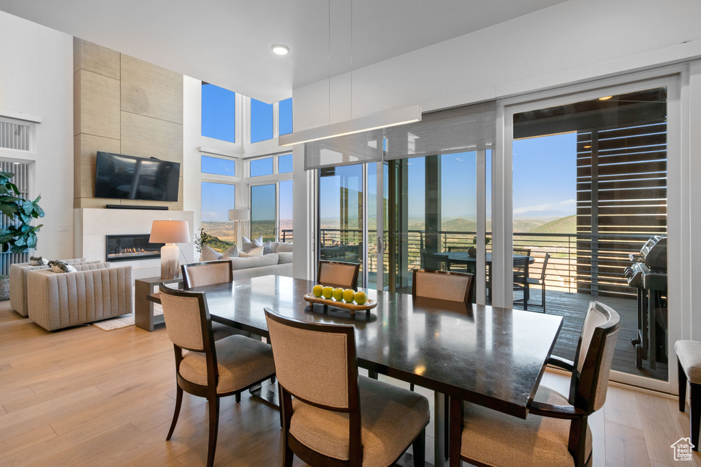 Dining room featuring a large fireplace, plenty of natural light, and light hardwood / wood-style floors