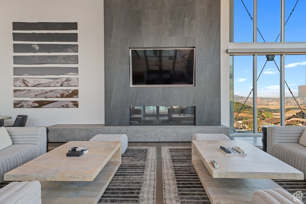 Living room featuring dark wood-type flooring