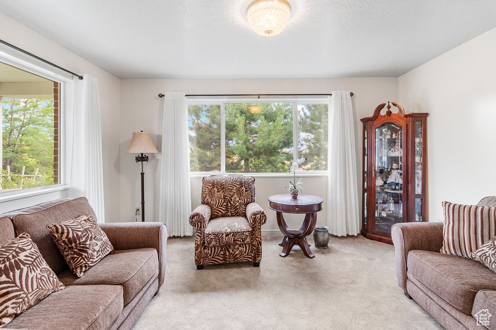 Living room featuring a healthy amount of sunlight and light carpet