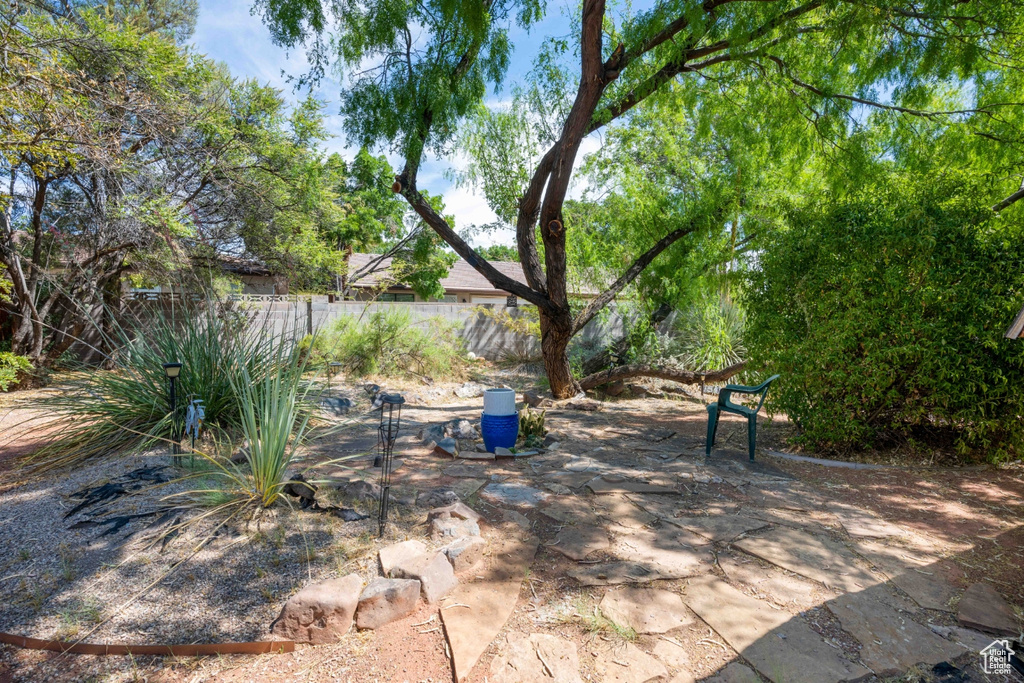 View of patio