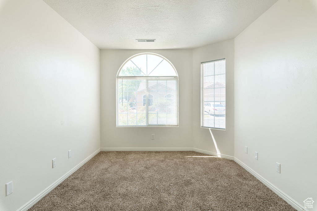 Unfurnished room with carpet and a textured ceiling