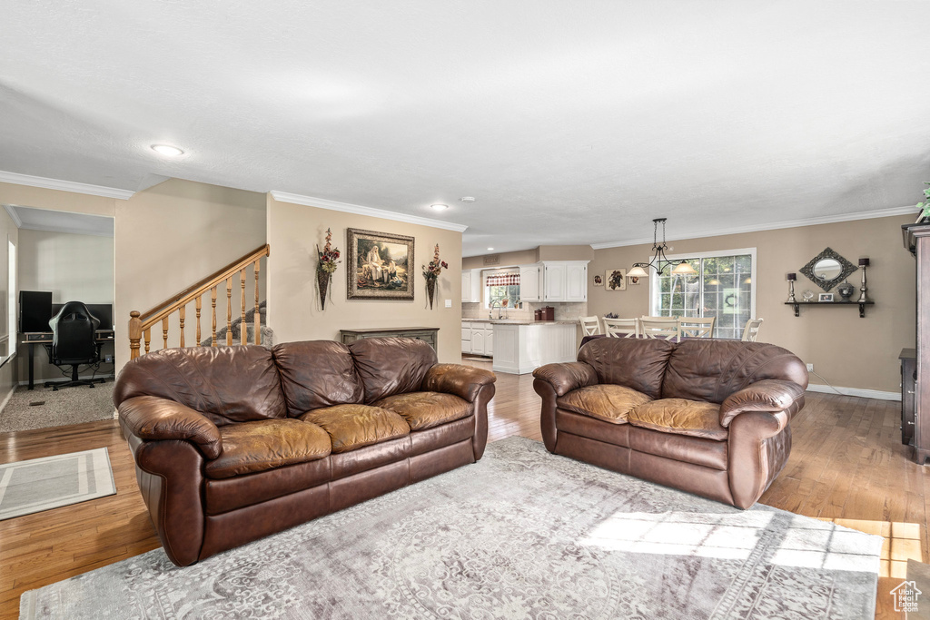 Living room with ornamental molding and wood-type flooring