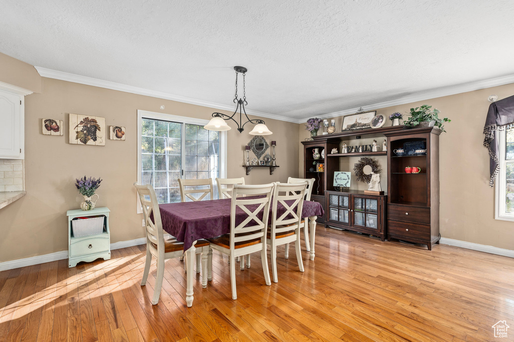 Dining space with a textured ceiling, light hardwood / wood-style flooring, and ornamental molding