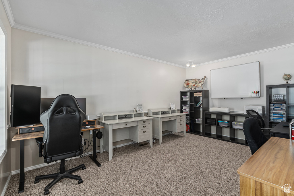 Home office with crown molding and light colored carpet