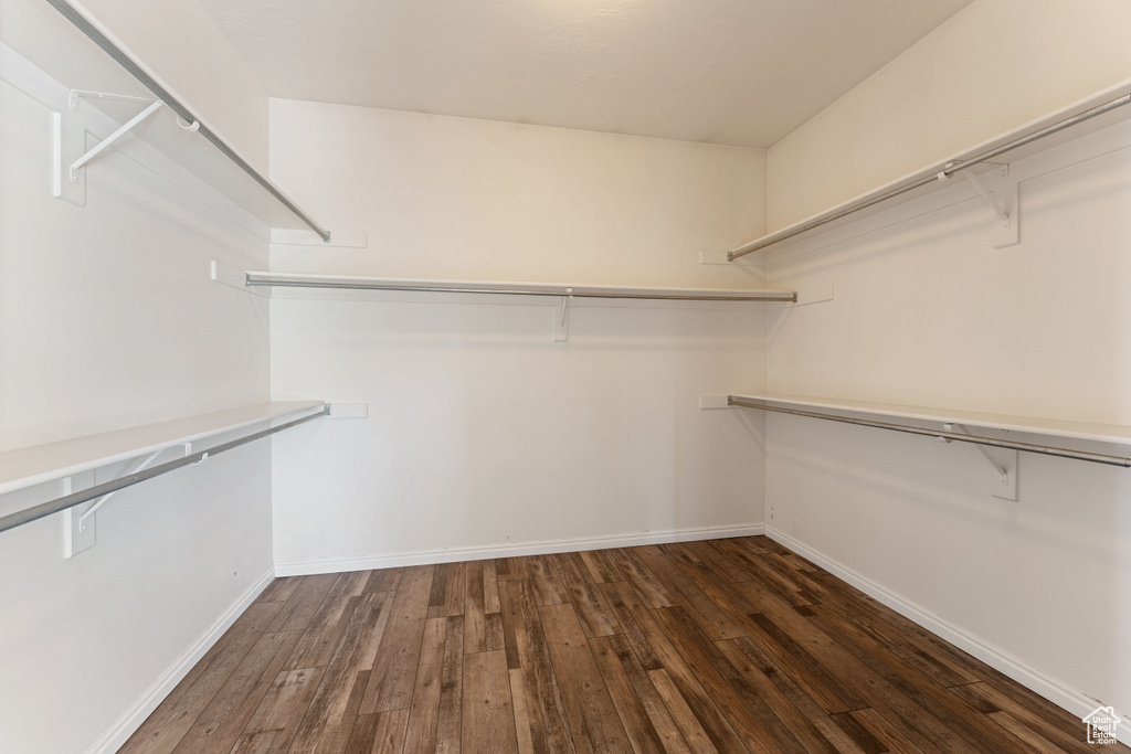 Walk in closet with hardwood / wood-style flooring