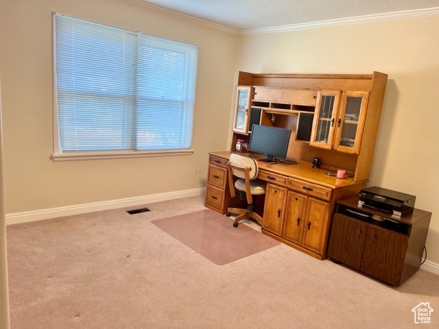 Office with light colored carpet and crown molding