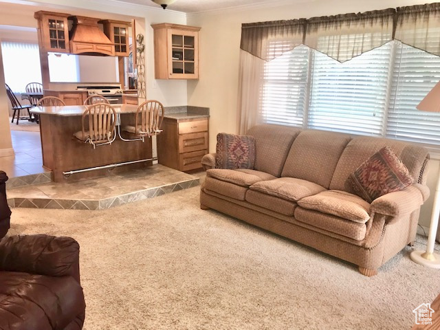 Carpeted living room with crown molding