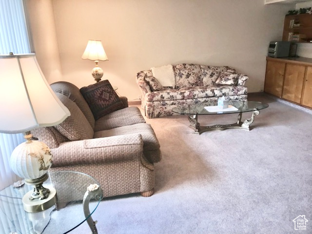 Living room with carpet